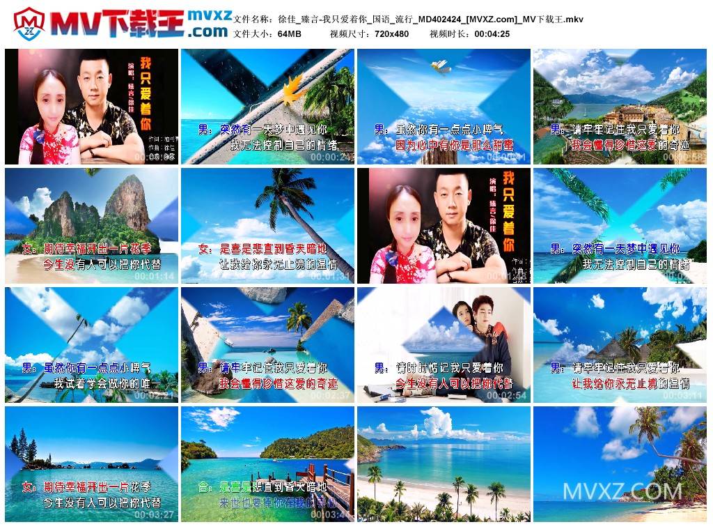 徐佳_臻言-我只爱着你_国语_流行_MD402424